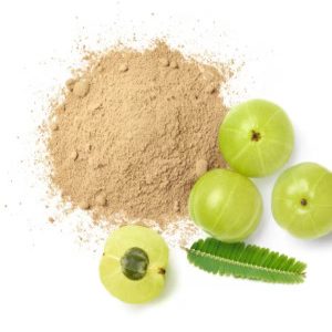 Amla Podi (100g)