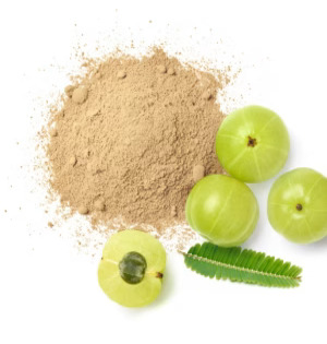 Amla Podi (100g)